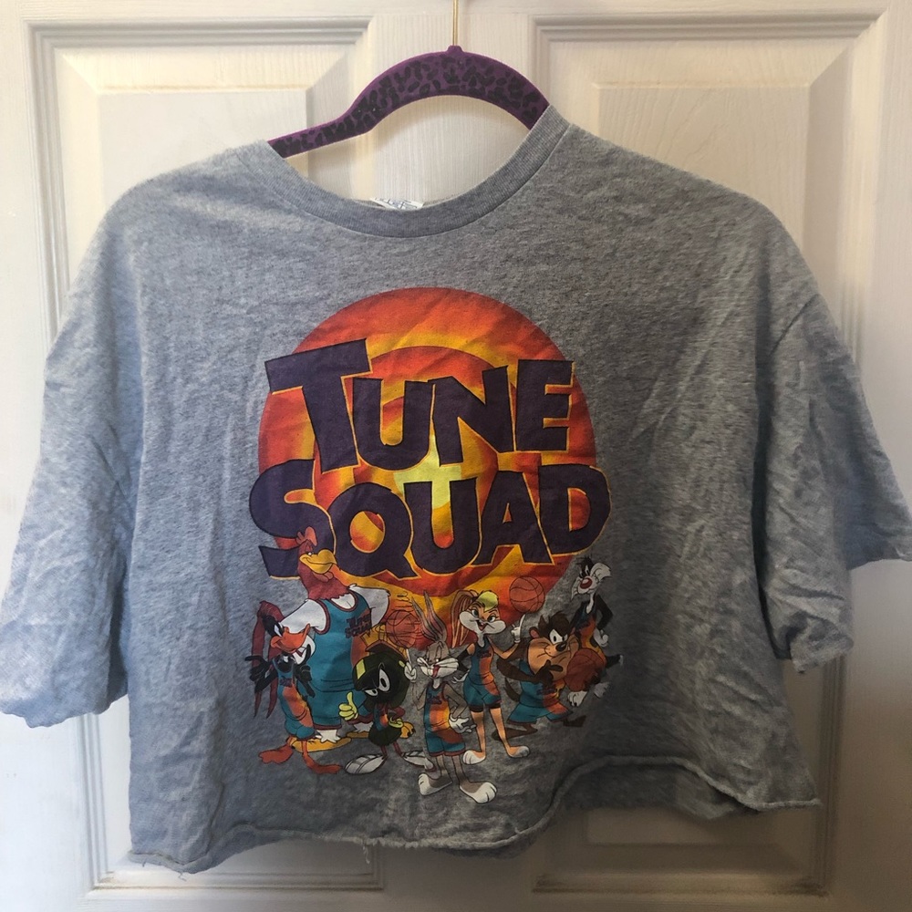 Tune squad crop